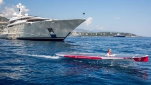 Photo (c) YCM Photo (c) YCM