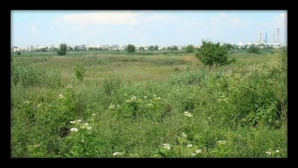 Photo: Adriana Radu Photo: Adriana Radu