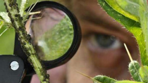 Cliquez ici pour plus d’informations Cliquez ici pour plus d’informations