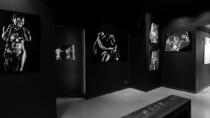 DarkRoom © D. Jaussein DarkRoom © D. Jaussein