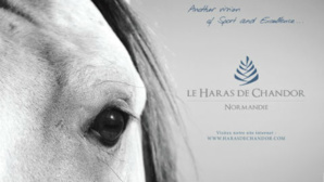Photo © Haras de Chandor. Cliquez ici pour accéder au site Photo © Haras de Chandor. Cliquez ici pour accéder au site