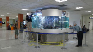 Photo (c) Amaury van Hoorebeke Photo (c) Amaury van Hoorebeke