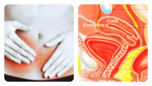 Cliquez ici pour accéder au site de WIM Cliquez ici pour accéder au site de WIM