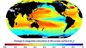 L'acidification des océans menace l'économie mondiale