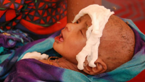 Photo (c) P. Heinlein Photo (c) P. Heinlein