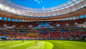 (c) Kelly Sato (c) Kelly Sato