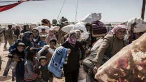 Des réfugiés kurdes syriens arrivent en Turquie en provenance des environs de la ville de Kobané, en Syrie. Photo (c) HCR / I. Prickett