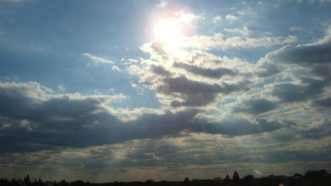 Photo (c) Adriana Radu Photo (c) Adriana Radu