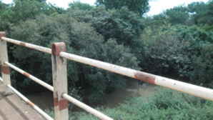 Bassin de la Mékrou: Une ressource qui se meurt