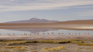 Salar de Uyuni, lac salé, sud Bolivie. Photo (c) Florence Renault Salar de Uyuni, lac salé, sud Bolivie. Photo (c) Florence Renault