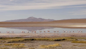 Salar de Uyuni, lac salé, sud Bolivie. Photo (c) Florence Renault
