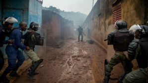 (c) Marco Dormino (c) Marco Dormino