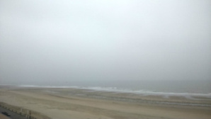 Photo (c) Robert Genicot