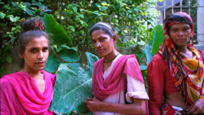 Photo (c) R. D'Lucca Photo (c) R. D'Lucca