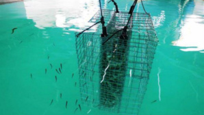 Actus de Monaco avril 2015 - 1 Actus de Monaco avril 2015 - 1