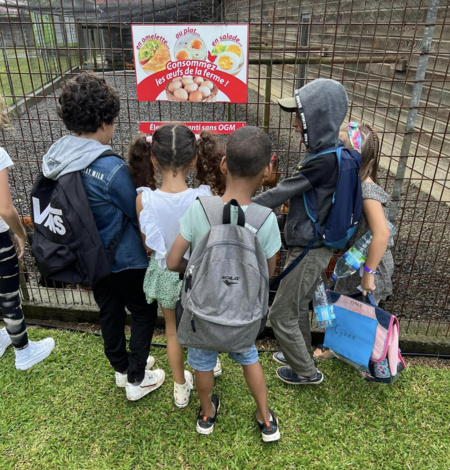 Visite de la ferme. (c)Better fly. Visite de la ferme. (c)Better fly.