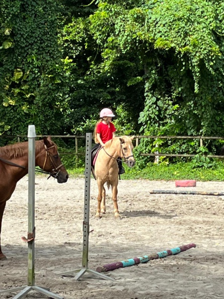 Nature, sport et valeurs: l’ADN de l’école BERACA Nature, sport et valeurs: l’ADN de l’école BERACA