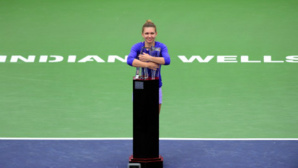 Illustration proposée par l'auteur. Cliquez ici pour en savoir plus sur Simona Halep Illustration proposée par l'auteur. Cliquez ici pour en savoir plus sur Simona Halep