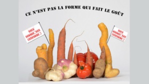 Photo (c) Emmanuel Prigent Photo (c) Emmanuel Prigent