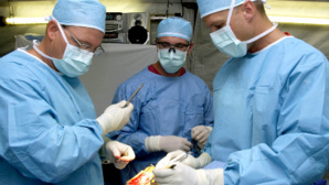 Le fait divers de la semaine 17: Né pour donner ses organes Le fait divers de la semaine 17: Né pour donner ses organes