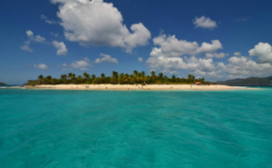 Photo (c) William Torrillo. Cliquez ici pour accéder au site officiel Photo (c) William Torrillo. Cliquez ici pour accéder au site officiel