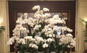 Illustration proposée par l'auteur Illustration proposée par l'auteur