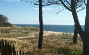 Une journée a l'océan, je "like". Et vous? Photo (c) Cdo Une journée a l'océan, je "like". Et vous? Photo (c) Cdo