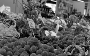 Stand de fruits de Nice. Photo (c) Sabrina Belkhiter Stand de fruits de Nice. Photo (c) Sabrina Belkhiter