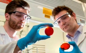 Dr Chalker et un étudiant (c) Flinders University. Cliquez ici pour accéder au site Dr Chalker et un étudiant (c) Flinders University. Cliquez ici pour accéder au site