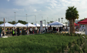 Entrée du Qout Market (saison 3) située au parc Murouj, au Koweït. Photo (c) Bulent Inan Entrée du Qout Market (saison 3) située au parc Murouj, au Koweït. Photo (c) Bulent Inan