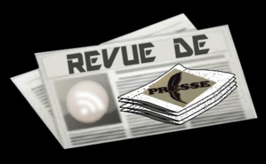 Revue de presse pas pressée du 23 au 25 novembre 2015 Revue de presse pas pressée du 23 au 25 novembre 2015