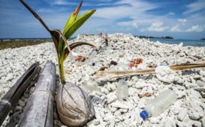 Plage de Rodrigues, au large de l'Ile Maurice. Photo (c) Race for Water. Cliquez ici pour accéder au site officiel Plage de Rodrigues, au large de l'Ile Maurice. Photo (c) Race for Water. Cliquez ici pour accéder au site officiel