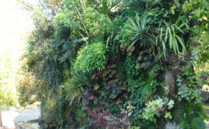 Mur végétal au Domaine de Chaumont-sur-Loire. Photo (c) Amélie Hubert Mur végétal au Domaine de Chaumont-sur-Loire. Photo (c) Amélie Hubert