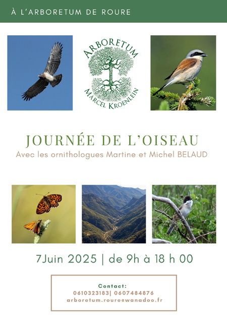 Journée de l'Oiseau à l'arboretum Marcel Kroenlein de Roure Journée de l'Oiseau à l'arboretum Marcel Kroenlein de Roure
