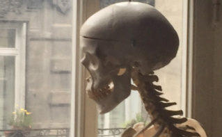 Penseur éternel. Photo (c) cdo Penseur éternel. Photo (c) cdo