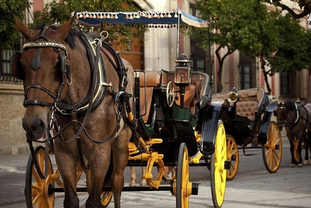 Fin des calèches de Carthagène des Indes en Colombie (c) DR Fin des calèches de Carthagène des Indes en Colombie (c) DR