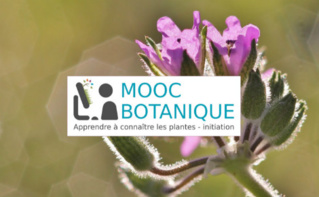 Cliquez ici pour accéder au site Cliquez ici pour accéder au site