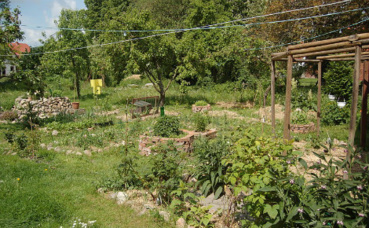 Le principe de la permaculture: assortir les différentes plantes ensemble. Photo (c) PermaKulturgut Le principe de la permaculture: assortir les différentes plantes ensemble. Photo (c) PermaKulturgut