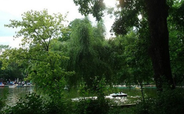 Le parc Cismigiu. Photo (c) Adriana T. Radu Le parc Cismigiu. Photo (c) Adriana T. Radu