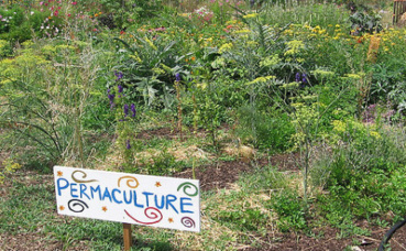 Photo (c) Urban Sprouts Photo (c) Urban Sprouts