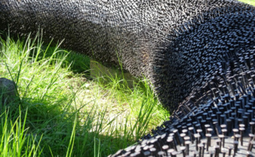 Les clous du lien. Photo (c) A. Hubert Les clous du lien. Photo (c) A. Hubert