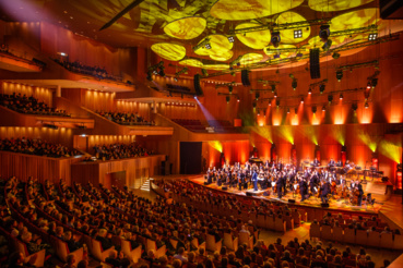 Photo (c) Wojciech Wandzel. Cliquez ici pour accéder au site du festival FMF Photo (c) Wojciech Wandzel. Cliquez ici pour accéder au site du festival FMF