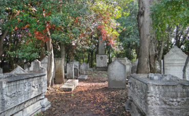 Photo (c) Jean-Pierre Dalbéra Photo (c) Jean-Pierre Dalbéra