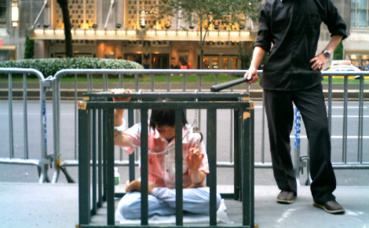 Photo (c) Brendan Themes Photo (c) Brendan Themes