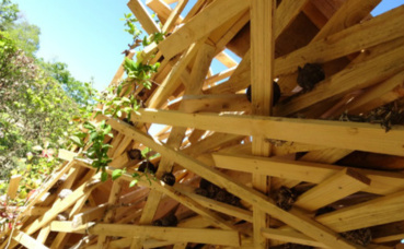 "Explosive nature" et ses "bombes de graines" au sein de la structure. Photo (c) A. Hubert "Explosive nature" et ses "bombes de graines" au sein de la structure. Photo (c) A. Hubert