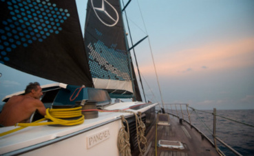 Photo (c) Dmitry Sharomov Photo (c) Dmitry Sharomov