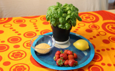 Ingrédients de la soupe de fraises au basilic. Photo (c) Alice Dutray.