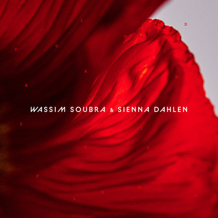 Wassim Soubra et Sienna Dahlen dévoilent le clip de I Could Bring You Flowers