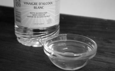 Photo (c) Fanny Silva Photo (c) Fanny Silva