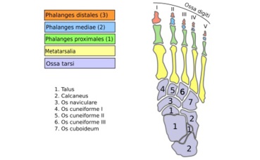 Illustration (c) Mario Modesto Illustration (c) Mario Modesto